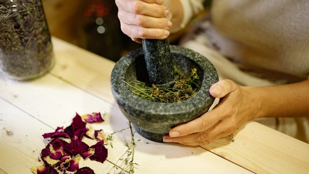 Plantes médicinales : 80% du monde les choisit encore