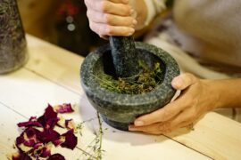 Plantes médicinales : 80% du monde les choisit encore
