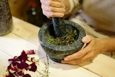 Plantes médicinales : 80% du monde les choisit encore
